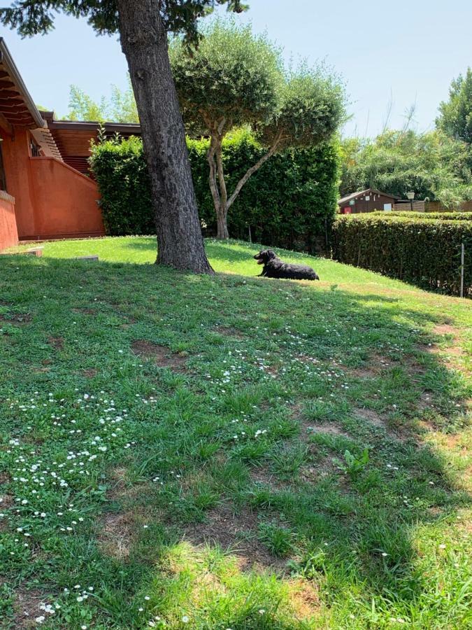 Aparthotel Aurelia Rta Detta il Cascinale Montignoso Esterno foto